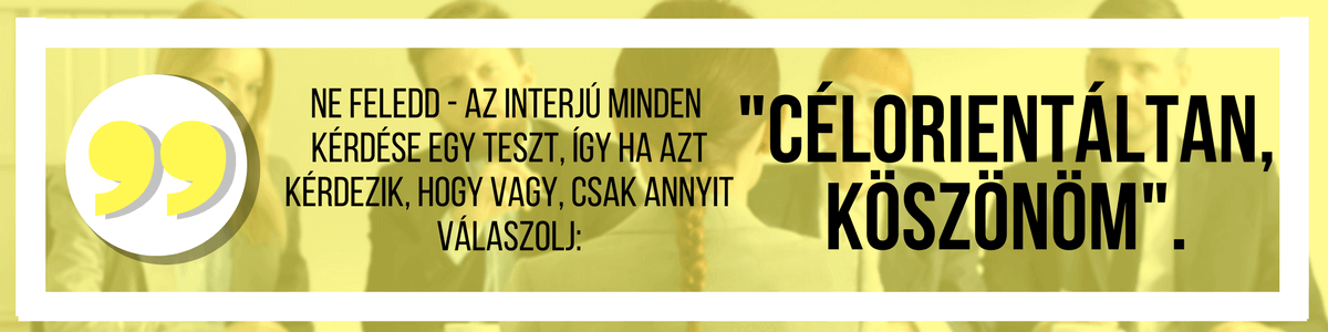 A Leggyakoribb Interju Kerdesek Es Valaszok