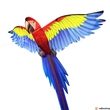 Kép 2/2 - 3D pop-up szélsárkány -  papagáj