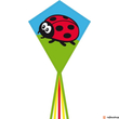 Kép 1/2 - Invento Eco Line Eddy Ladybug 70 cm-es sárkány