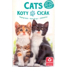 a cicák 4 az 1-ben kártya