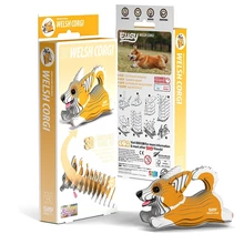 Welsh Corgi