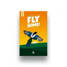 fly home