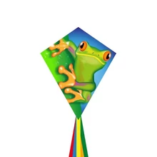 Eddy Froggy 70 cm sárkány