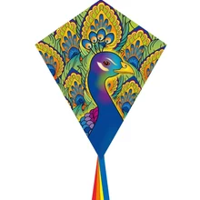 Eddy Peacock 70 cm sárkány