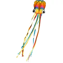 Rainbow Octopus