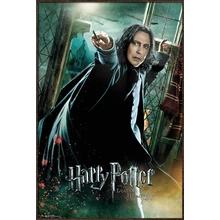 HARRY POTTER (DEATHLY HALLOWS SNAPE) - FRAMED