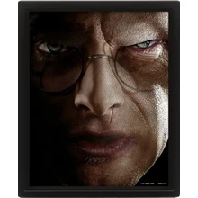 HARRY POTTER (HARRY VS VOLDEMORT) - FRAMED