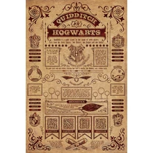 Harry Potter (Quidditch at Hogwarts) maxi poszter