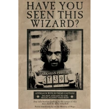 Harry Potter (Wanted Sirius Black) maxi poszter