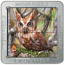 Cheatwell Games 3D Magna Puzzle