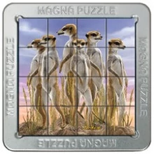 Cheatwell Games 3D Magna Puzzle