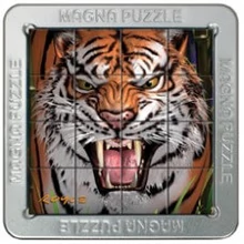 Cheatwell Games 3D Magna Puzzle