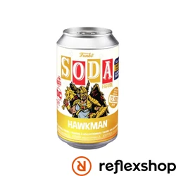 Vinyl SODA: Black Adam- Hawkman(IE)