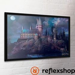 Harry Potter (Hogwarts) maxi poszter