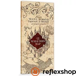 Harry Potter (Marauders map) maxi poszter