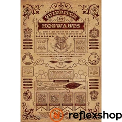 Harry Potter (Quidditch at Hogwarts) maxi poszter