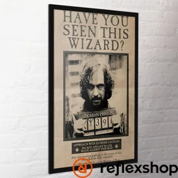 Harry Potter (Wanted Sirius Black) maxi poszter