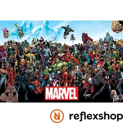 Marvel (UNIVERSE) MAXI