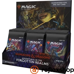 MTG: Adventures in the Forgotten Realms Set Booster Display