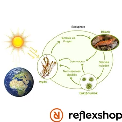 EcoSphere Önfenntartó Ökoszisztéma ovális alakú fehér kaviccsal