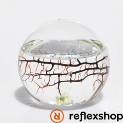 EcoSphere Önfenntartó Ökoszisztéma (gömb alakú fehér kaviccsal)