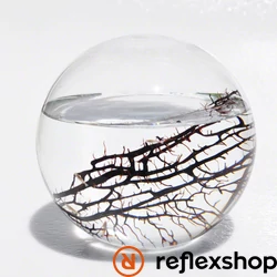 EcoSphere Önfenntartó Ökoszisztéma (gömb alakú fehér kaviccsal)