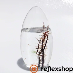 EcoSphere Önfenntartó Ökoszisztéma (ovális, fehér kaviccsal)