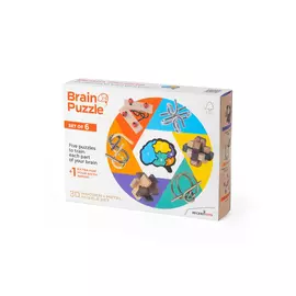 Brain Puzzle set of 6 logikai játék