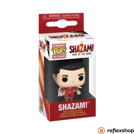 POP Keychain: Little Brother- POP 1