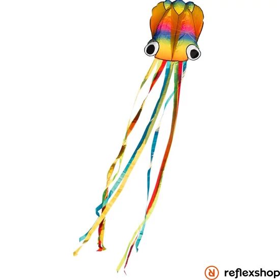 Rainbow Octopus