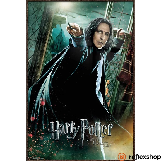 HARRY POTTER (DEATHLY HALLOWS SNAPE) - FRAMED