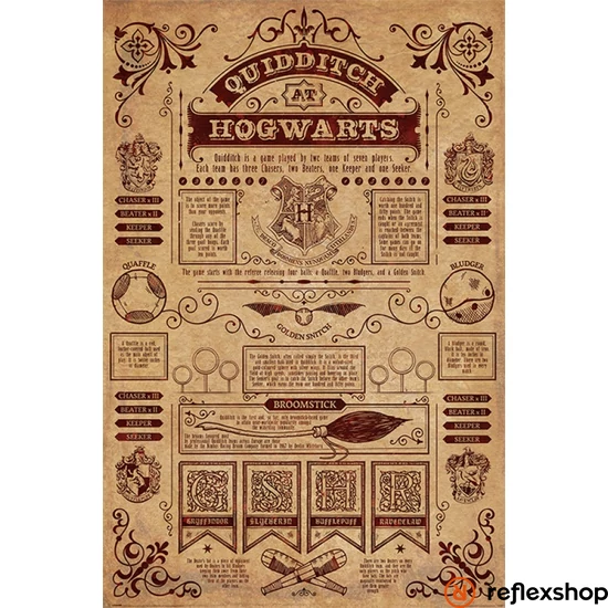 Harry Potter (Quidditch at Hogwarts) maxi poszter