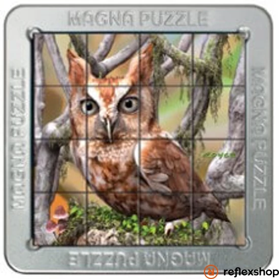 Cheatwell Games 3D Magna Puzzle