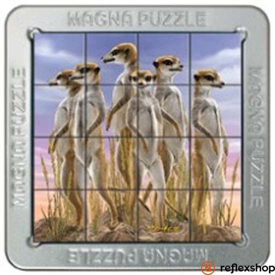 Cheatwell Games 3D Magna Puzzle