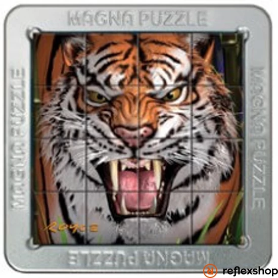 Cheatwell Games 3D Magna Puzzle