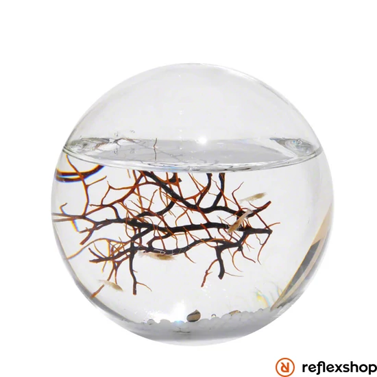 EcoSphere Önfenntartó Ökoszisztéma (gömb alakú fehér kaviccsal)
