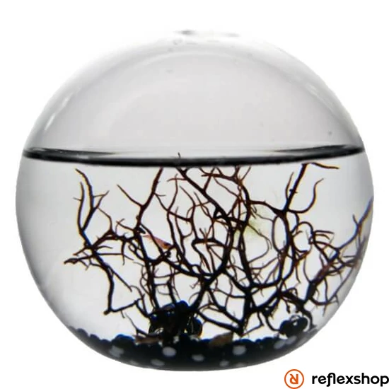 EcoSphere Önfenntartó Ökoszisztéma (gömb alakú fekete kaviccsal)