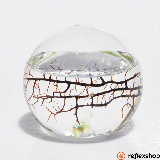 EcoSphere Önfenntartó Ökoszisztéma (gömb alakú fehér kaviccsal)