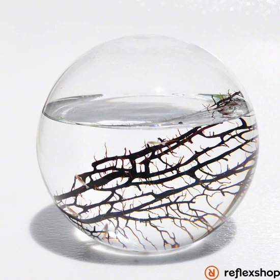 EcoSphere Önfenntartó Ökoszisztéma (gömb alakú fehér kaviccsal)