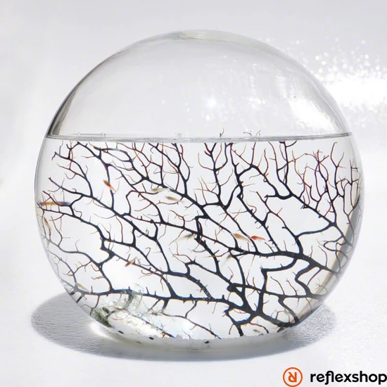 EcoSphere Önfenntartó Ökoszisztéma (gömb alakú fehér kaviccsal)