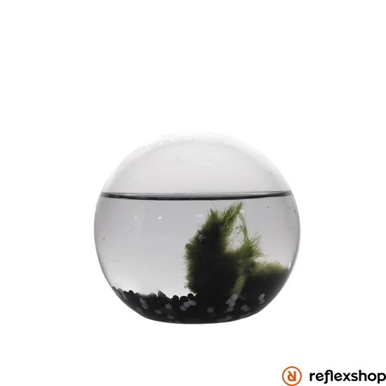 Ecosphere Ornárium gömb