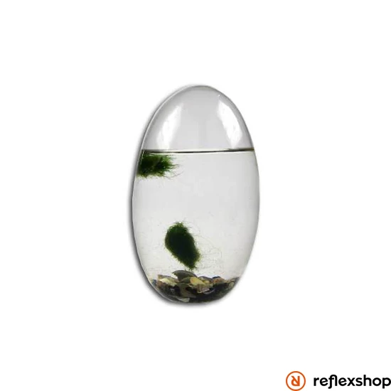 Ecosphere Ornárium (ovális)