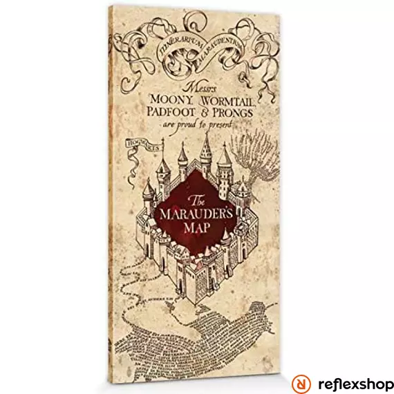 Harry Potter (Marauders map) maxi poszter