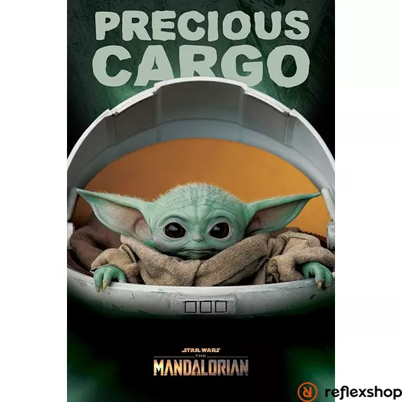 Star Wars: The Mandalorian (Precious cargo) maxi poszter