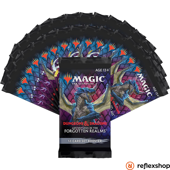 MTG: Adventures in the Forgotten Realms Set Booster
