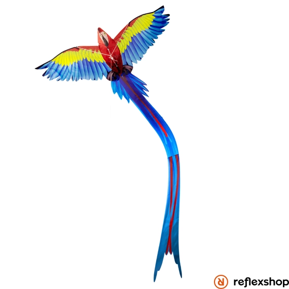 Könnyen összeállítható pop-up szélsárkány - 3D papagáj