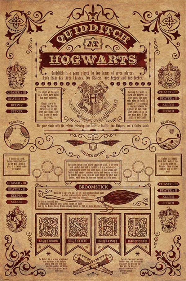 sticky Harry Potter (Quidditch at Hogwarts) maxi poszter