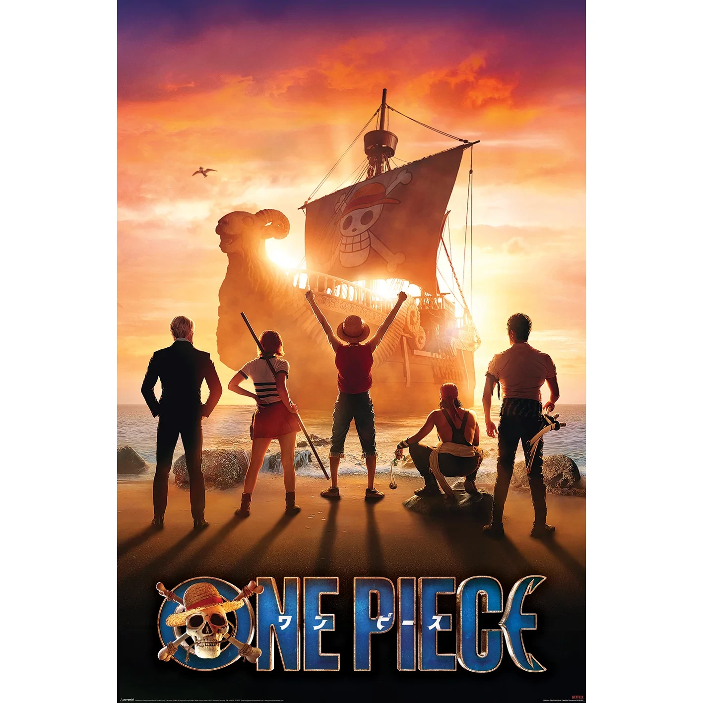 sticky One Piece Live Action (SET SAIL) maxi poszter