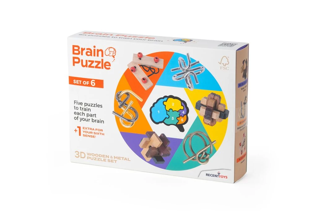 sticky Brain Puzzle set of 6 logikai játék