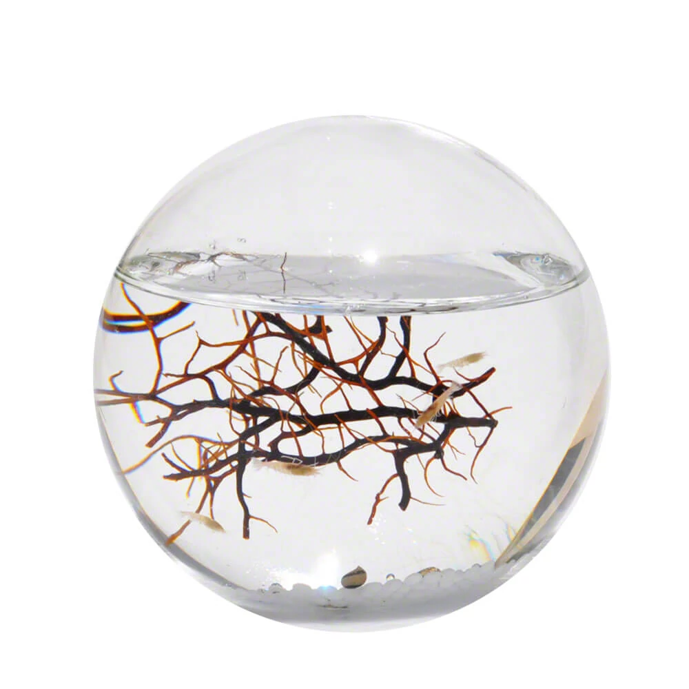 sticky EcoSphere Önfenntartó Ökoszisztéma (gömb alakú, fehér kaviccsal)